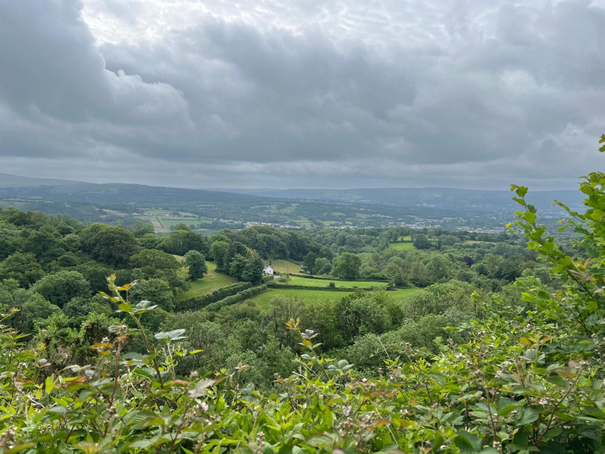 Vila Kabin In The Woods Llandybie Exteriér fotografie